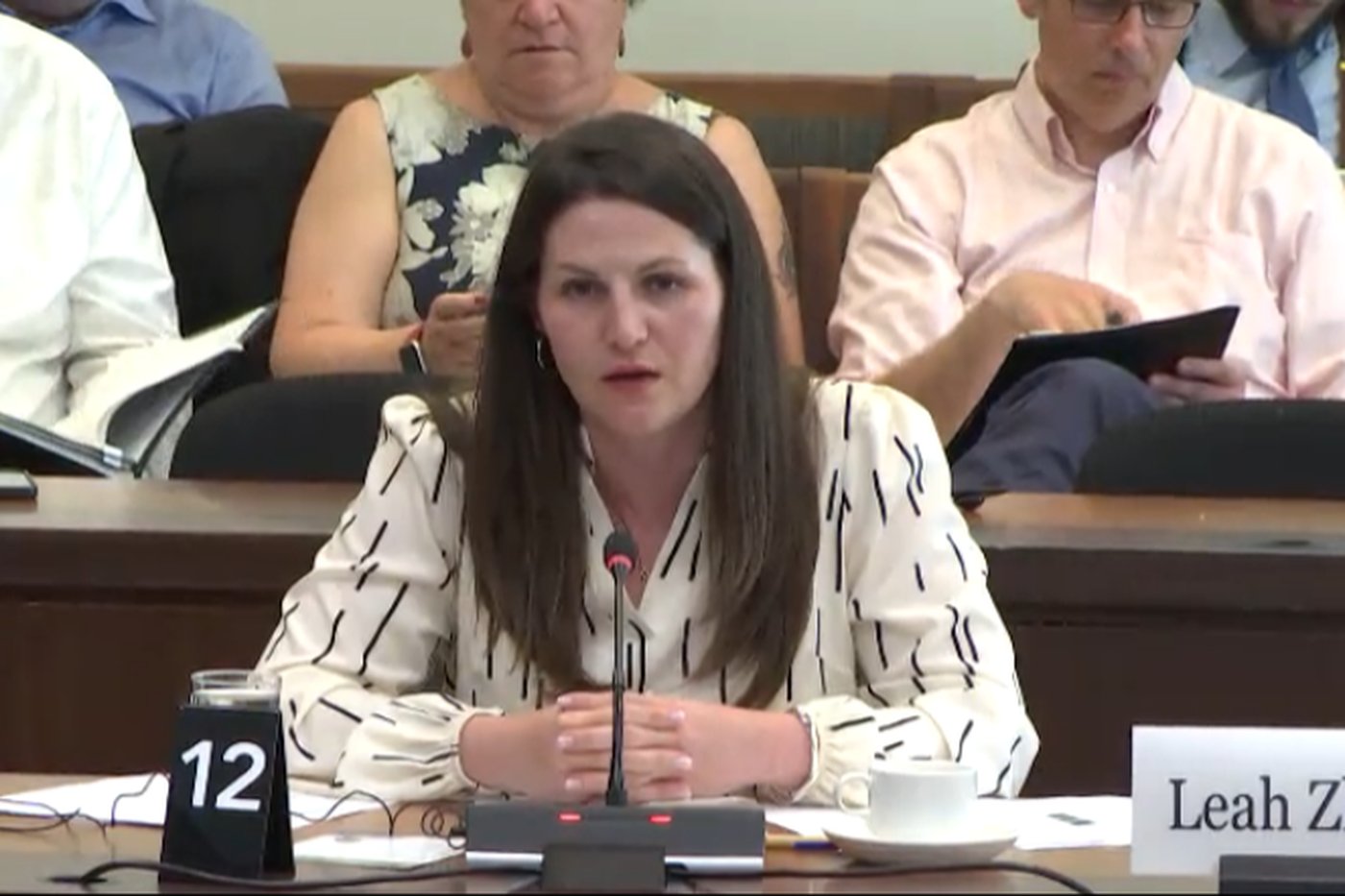 Leah testifying as a guest speaker at a House of Commons committee meeting